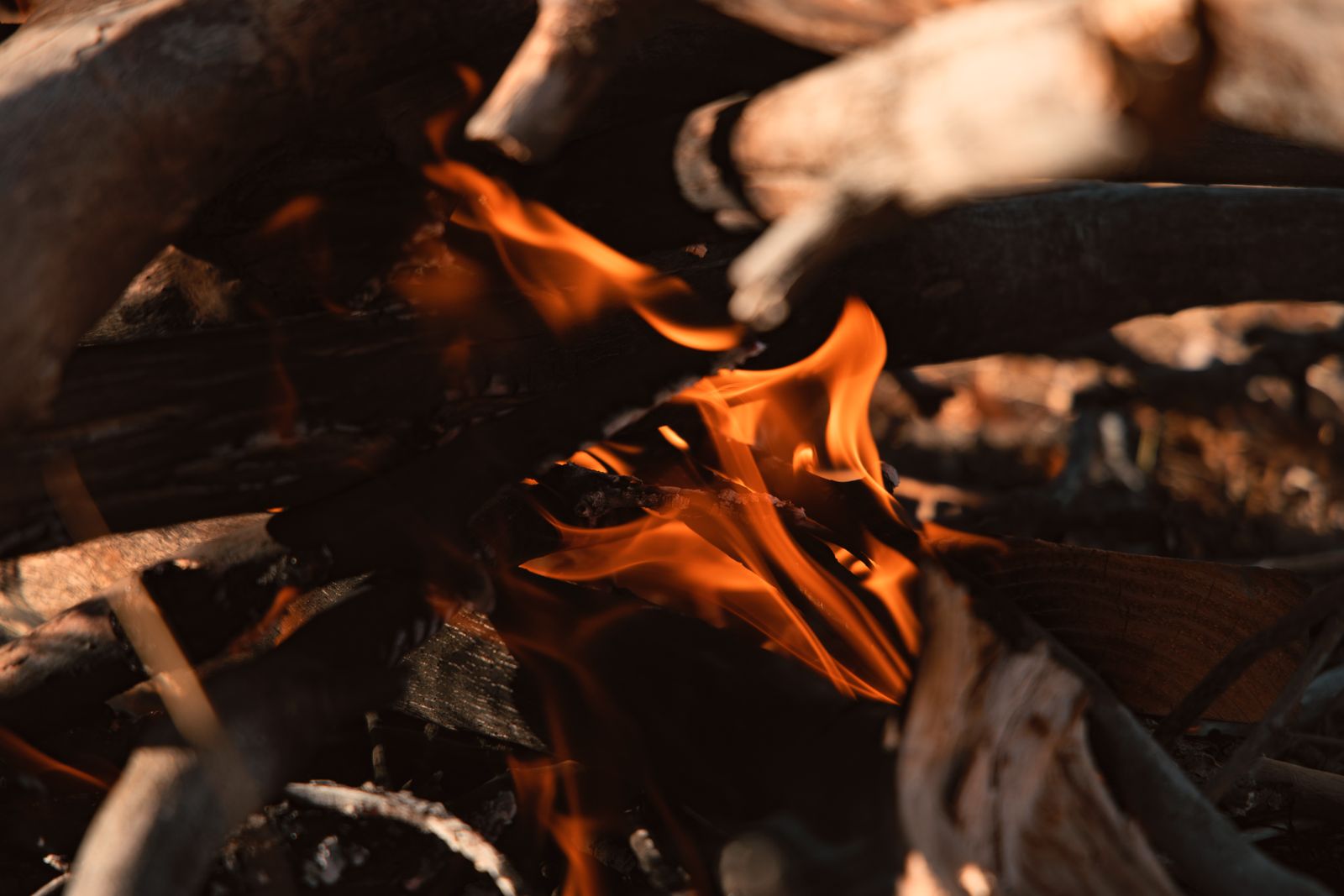 Live flame curling between split logs