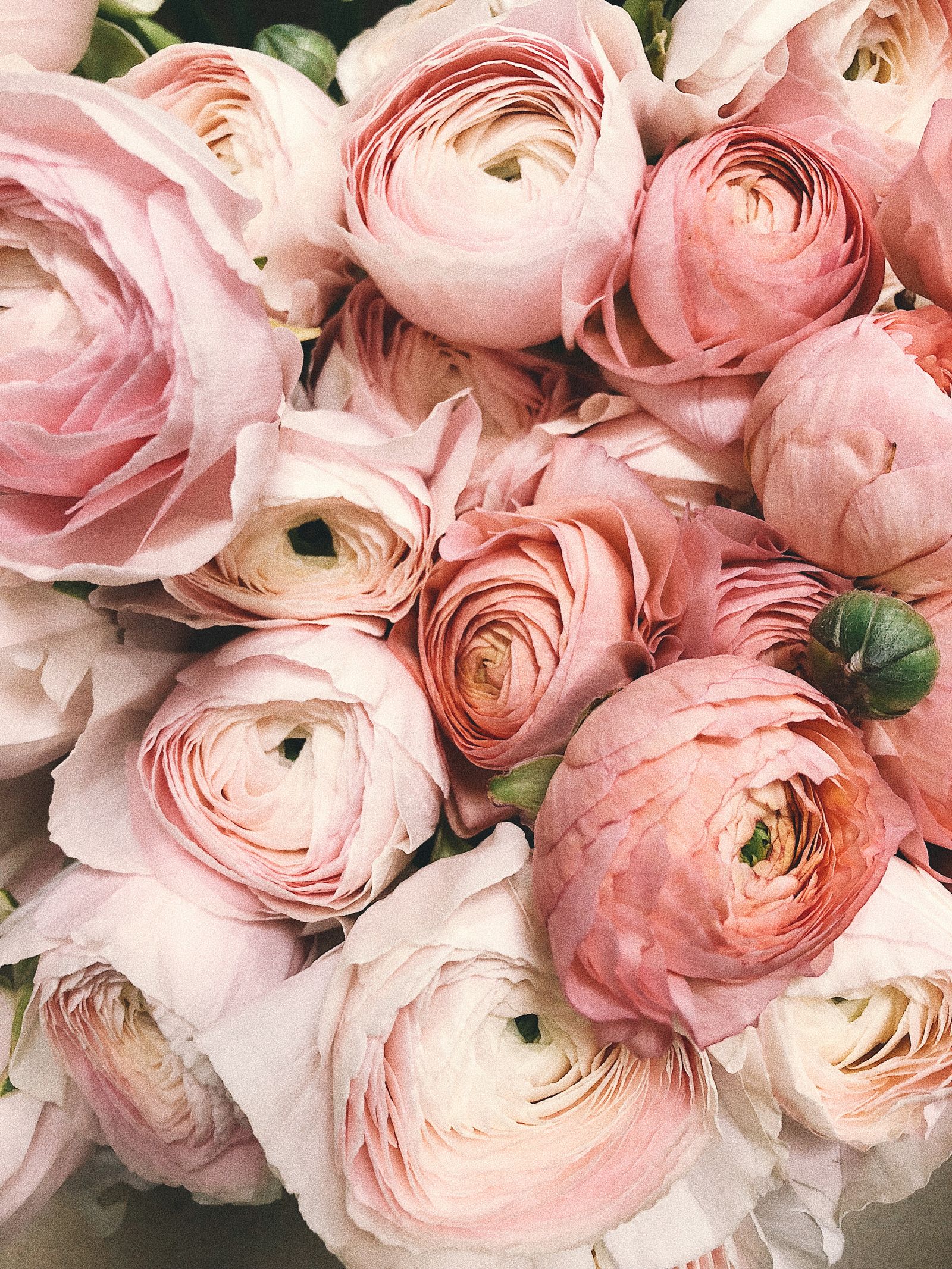Soft blush candlelit floral detail