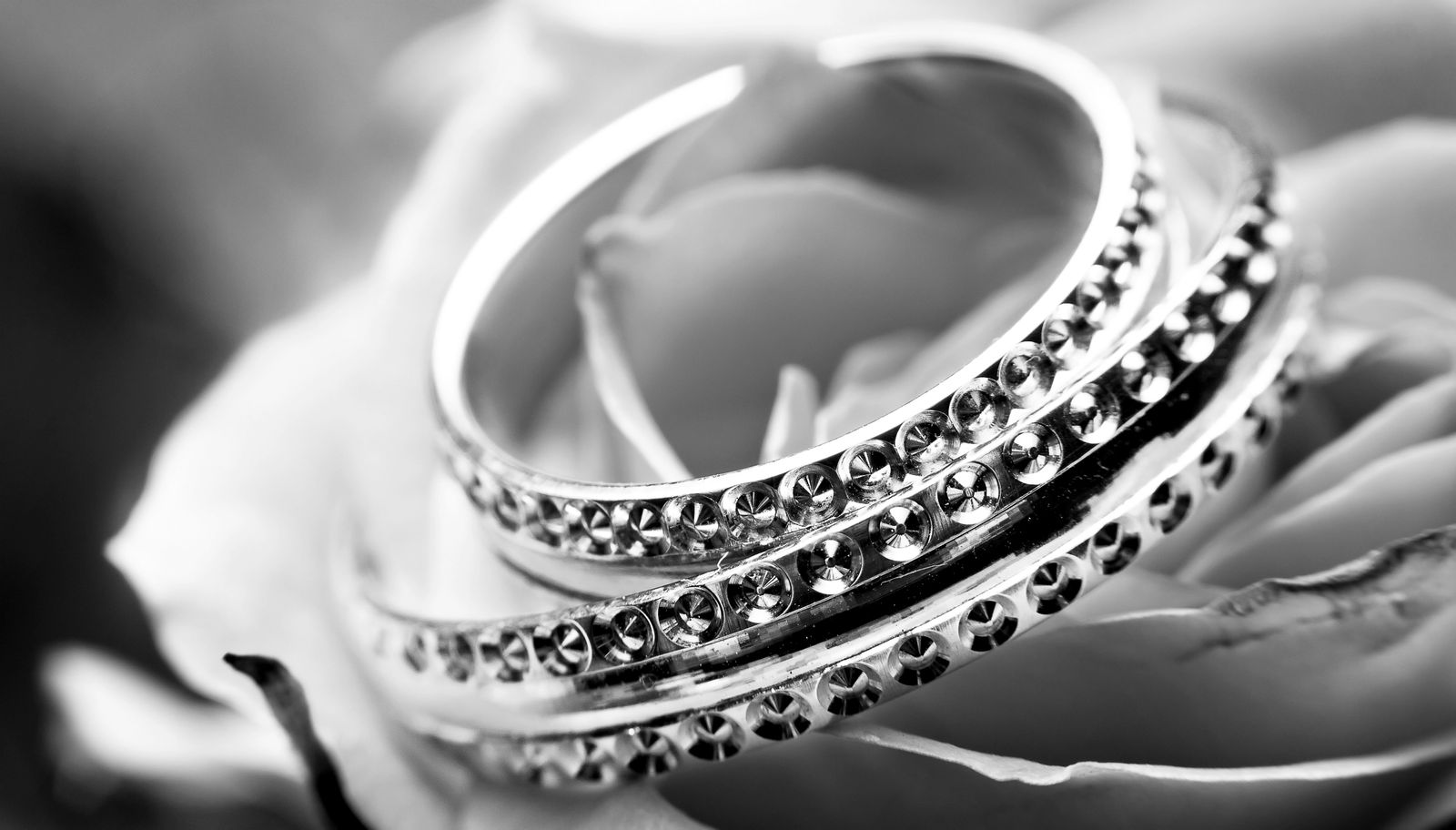 Wedding rings nestled in rose petals
