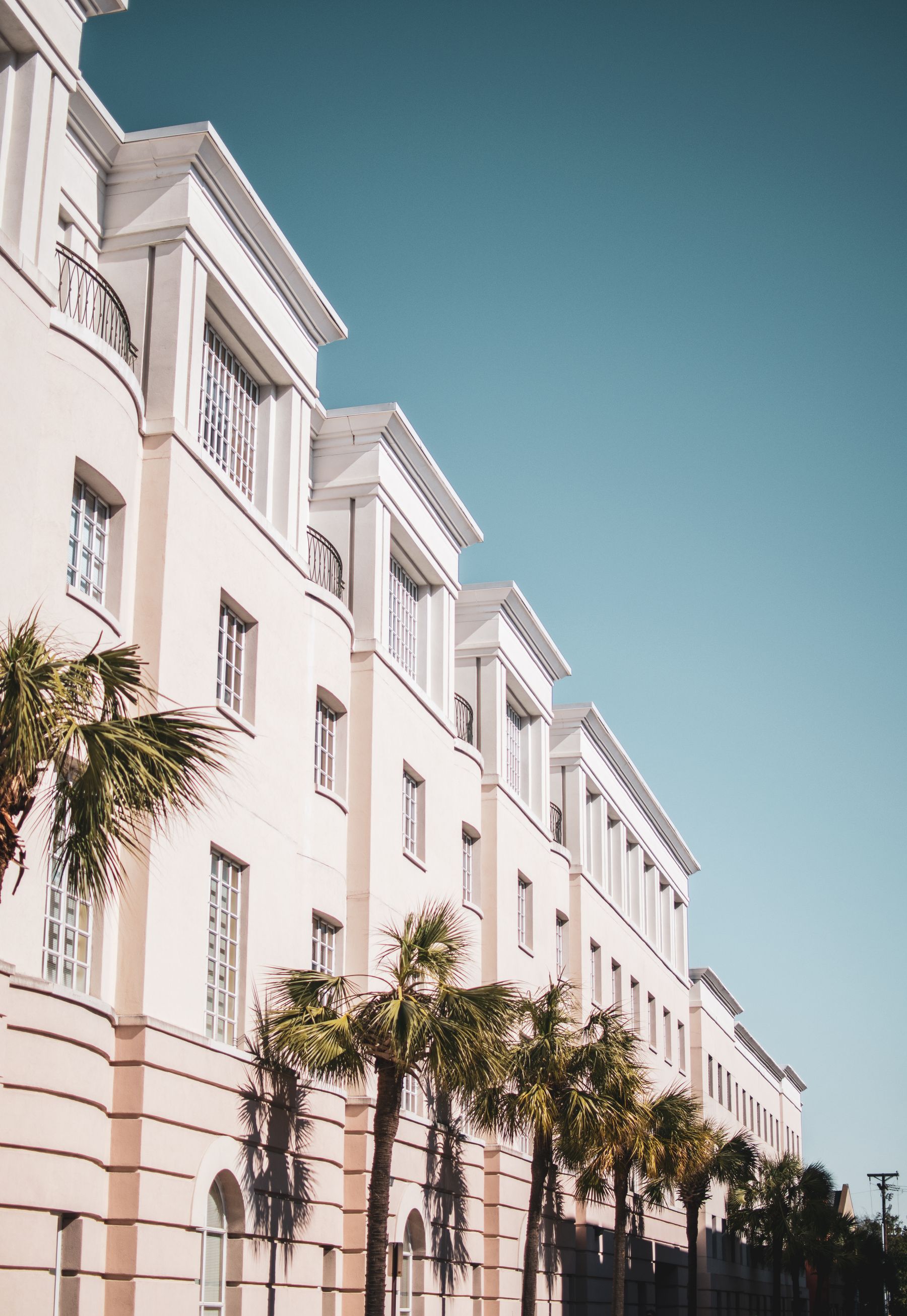 Facade with palms