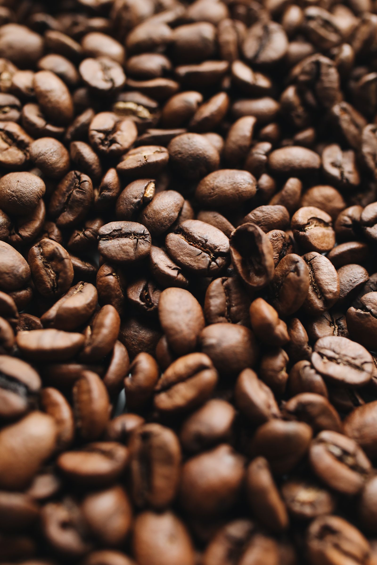 Roasted coffee beans close-up